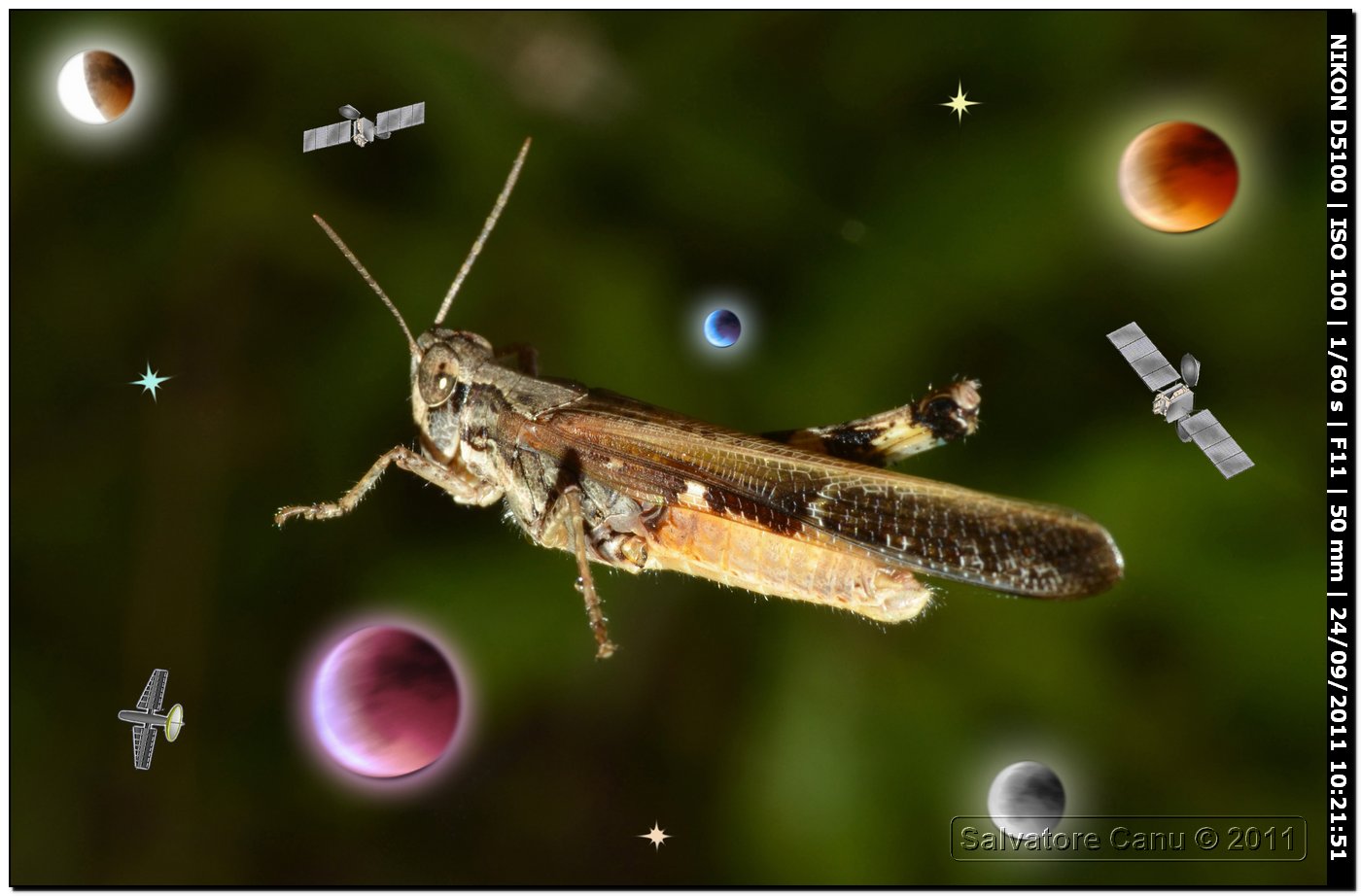 Vagabondi...  spaziali